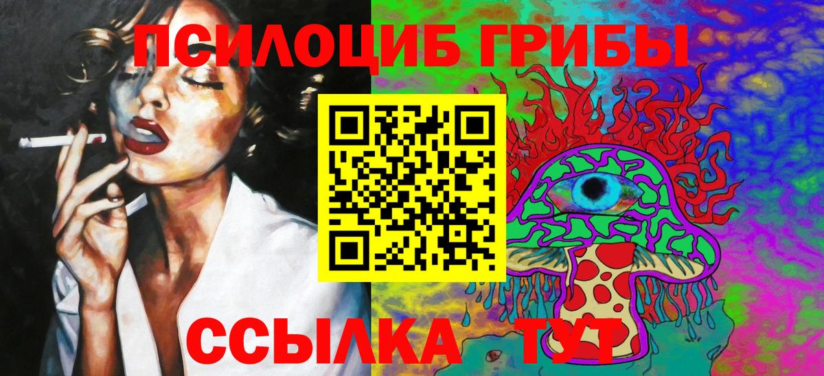 Псилоцибиновые грибы Psilocybe Тула