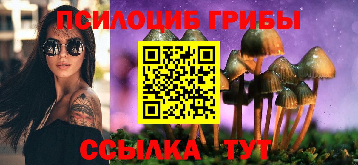 Тула  Псилоцибиновые грибы Psilocybe  где купить   Галлюциногенные грибы прущие грибы  Вход с VPN 